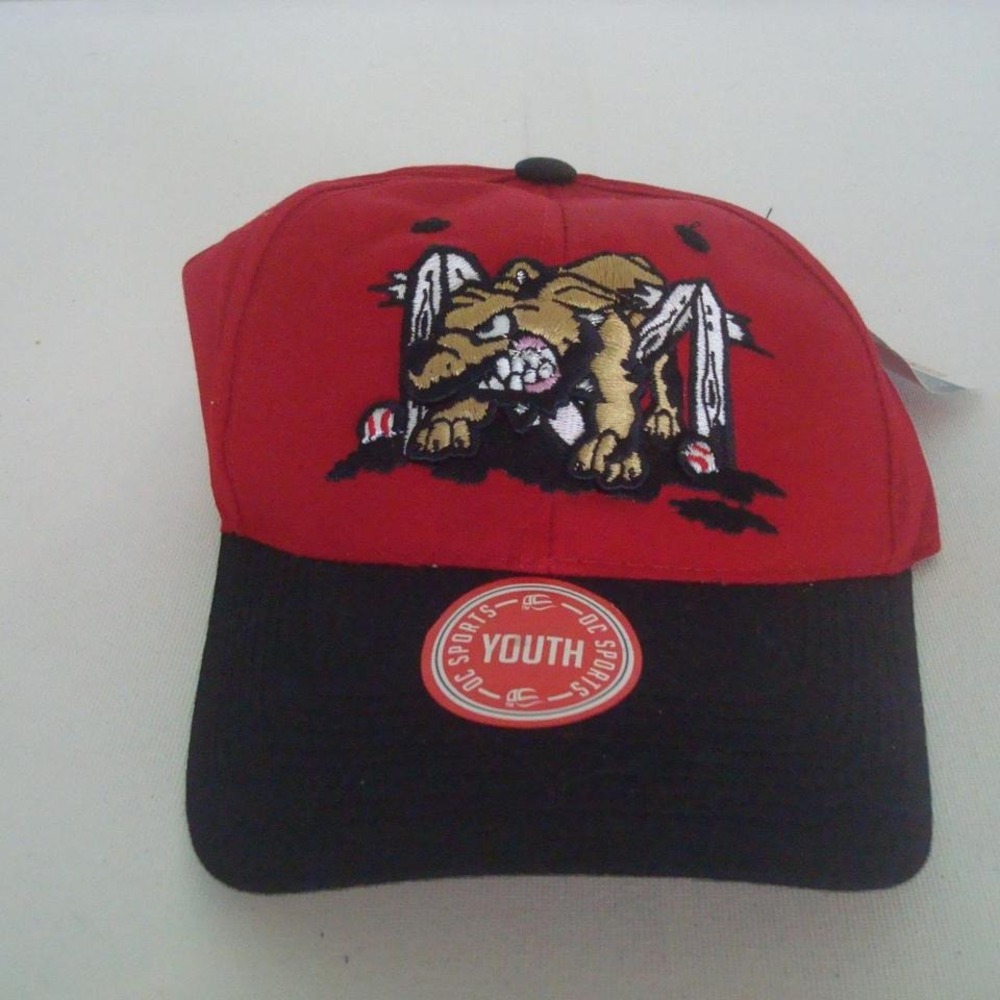 BATIVA MUDRACKERS MINRO LEAGUE BASEBALL HAT CAP VINTAGE Y2K 00S Y1 YOUTH